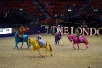 Quadrille - 00534